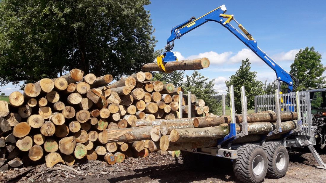 Stammholz und Rückewagen